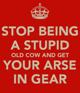 stop-being-a-stupid-old-cow-and-get-your-arse-in-gear