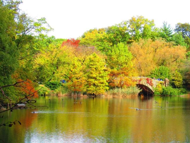 23472418_10159574500830710_5302565738401357505_n